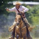 카우보이 이미지