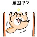 겟잇 크로스핏 이미지