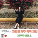 안녕 제주 | 자연인 제주 족욕체험. 피로야 안녕~ 제주투어패스로 가성비 이용 후기!(가격,예약,소요시간)