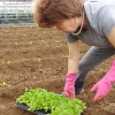 한약먹은추어탕 이미지