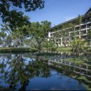 넥서스그린 이미지