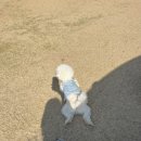 엠에스그루밍 이미지