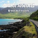 푸른카서비스 | 하와이 렌트카 추천 비용 아끼는 방법 카모아로 자유여행 완성