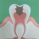 세종365치과의원 이미지