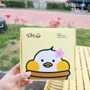 명지동호두과자 앙호두 부산명지국제신도시점 8가지 맛 골라담기 16구 포장 후기