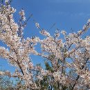 구룡포초등학교 이미지