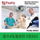 왈츠 동물병원 이미지