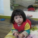 노래하는하마 Daum카페