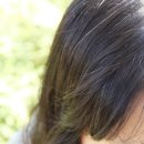 자연머리 이미지