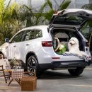 퀘스트짐 이미지