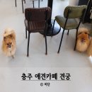 견궁 이미지