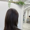 더뮨헤어 (The muun hair)