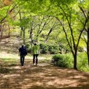 작은쉼터야영장 | [관광 명소 탐방] 동두천 소요 별앤숲 테마파크, 수려한 자연공간에서 피곤한 하루의 행복 마무리