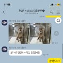 윤성진 안과/외과 동물병원 이미지