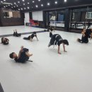 BK합기도 이미지