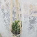 [후기]마크라메 플랜트행거 원데이클래스(식물제공)-연예계 마크라메 열풍