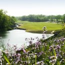 테디벨리 이미지