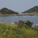 죽도물양장 이미지