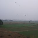 룸비니하우스 이미지