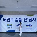 신영태비태권도 이미지