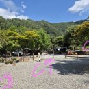 김삿갓 계곡 캠핑장 이미지