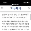 보호센터에서 기르던 유기견들이 동물사료 원료로 쓰였대.. 이미지