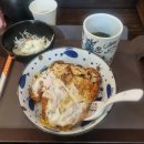 낭만고양이(강서점) 이미지