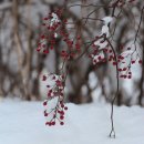 송백당 | 장성 송백당(松栢堂)