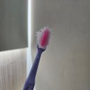 부활펜션 | 금산 하늘물빛정원 스테이&amp;찜질방 필수 준비물과 후기