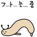 보라매복싱클럽 이미지