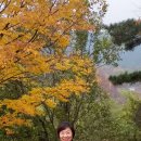 정산1리 경로당 이미지