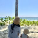 31140-5-6-16 | 아기랑 나트랑 4박5일 여행일정 공유, 16개월 아기 추천코스 (ft. 3월 날씨, 꿀팁, 주의사항)