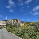 남경호텔 이미지