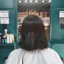 에비뉴헤어 - 전주시 완산구 | 에비뉴헤어