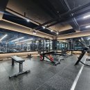 퍼시스트 피트니스 이미지