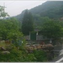 가탄경로당 Daum카페