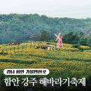 함안 강주 해바라기축제 다녀온 후기 입장료 주차 포토존