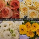 HY 우정점 스톡포인트 | 고터 강남꽃도매상가 생화시장 1월 중순 꽃종류 &amp; 내돈내산 구매후기