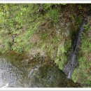 쌍계1교 이미지