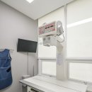 나래동물병원 이미지