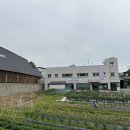 위전1리 이미지