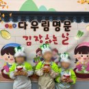 다우림명문유치원 이미지