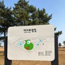 이사부광장 이미지