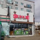 도그맘 | 칠곡 애견호텔 도그맘애견 업체 정보 후기