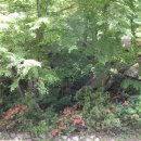 서당공원 화장실 이미지