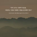 환호종합