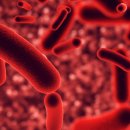 도그의 하루 이미지