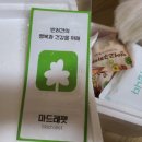 마드레펫 이미지