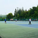 신트리공원 배드민턴장 이미지