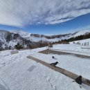 노형수산시장 제주 <b>노형</b><b>수산</b><b>시장</b> / 한라산 백록담